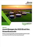 ANALYSE: Auswirkungen der RED III auf den Biomethanmarkt